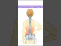 Download Lagu Reason of Lower Back Pain #physiotherapy