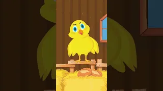 اغنية كتاكيت انا الفرخة و احنا الكتاكيت     اغاني اطفال بيبى    كتاكيت دندنها