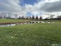 419 Heritage Village Southbury Real Estate