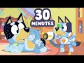 Download Lagu Bluey's House 🏡 💙 | 30 MINUTES of Fun Indoors and Outdoors ⭐️ | Bluey