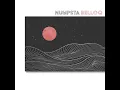 Numpsta