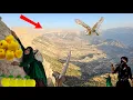 Download Lagu A nomadic girl picking🍏🍎 apples and gathering firewood for her family in the harsh Zagros Mountains.