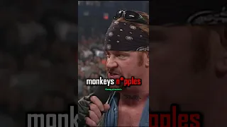 The Undertaker DESTROYS The Rock Undertaker Therock Stonecold Tripleh Wwe Ufc Jre Mma 