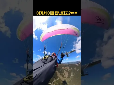 이게 왜 여기서 나와?
