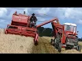 Download Lagu Massey Ferguson 87 Combine - Harvesting Barley | Old Timer | MF 135 | Harvesting Event - Aars 2017