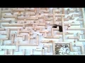 Bigger tighter mouse maze experiments