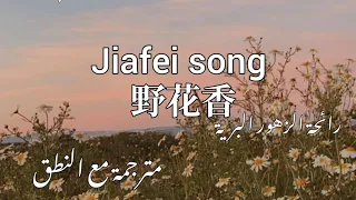 أغنية الإعلانات الصينية Jiafei 野花香 مترجمة مع النطق Jiafei Song Arabic Sub خنشيشااا 