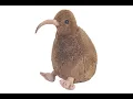 Download Lagu kiwi