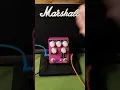 Multiplex Echo Machine PT2399 Delay Effects Pedal Aluminum Fudge Company