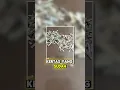 Download Lagu Pria Ini Berhasil Merakit Uang 10,000 Yen Yang Hancur