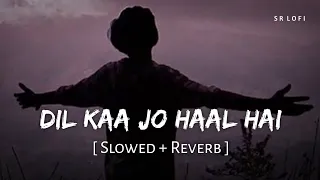 dil ka jo haal hai slowed reverb abhijeet bhattacharya shreya ghoshal besharam sr lofi