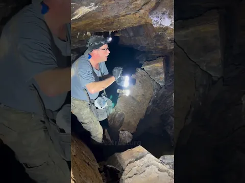 Encontró algo más antiguo que los DINOSAURIOS ahí abajo