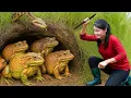 Download Lagu Harvesting Frogs Deep in the Wilderness \u0026 Goes to market sell  Traditional Fishing