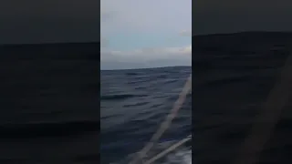 Full Sail