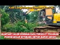 Download Lagu MANTAB‼️JALUR Normalisasi Tersulit Kali Cangkring! Harus Tebang Puluhan Pohon Besar Dapat Akses