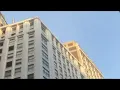 New York Surprise