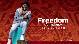 kingdmusic freedom amapiano lyric visualizer 