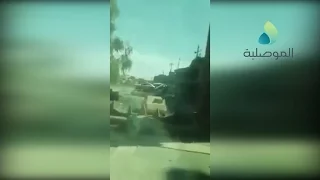                                                                                                      دندنها