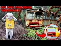 Download Lagu UPlin Discovers a 600-Year-Old Abandoned Bus Eater?!