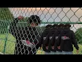 artist.capsule Vol.1 ft. Soski “Big Poppa/Kid Swag”