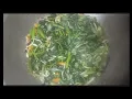 Download Lagu MASAK KU OSENG KANGKUNG YO KOYOK NGENE CARA NE GAIS - TAPI MUANTEB RASANE ENEK KUAH E NYEMEK NGUNU