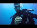 Download Lagu Scubadive PADI