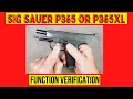 Sig P365 Function Safety Check Sig Function Verification