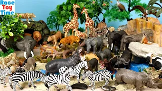 Fun Scenery Diorama Sets with Safari Animal Figurines