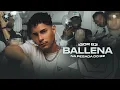 Download Lagu Igor Bz - Ballena - Cover - Piseiro