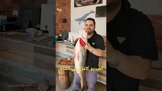 احذر من السمك الفيليه المسمم اللى مالى السوق دندنها