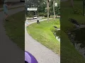 A man visiting Hilton Head South Carolina captured moment a fisherman was charged by an alligator