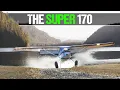 Cessna 170B - The Perfect Middle Ground Between a Super Cub and a 180