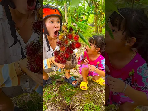 Cây chôm chôm gốc cây dừa￼#funny #comedy #nytinhnghich #shortvideo ￼