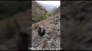 انا شف بالي 