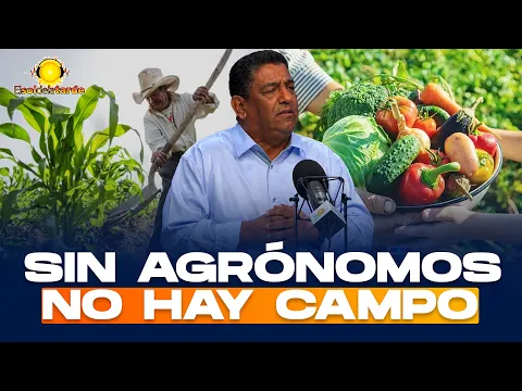 Crisis agropecuaria en RD: salarios, pensiones y futuro del campo