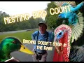 Download Lagu Out and About With A Birder. June Nesting Bird Count