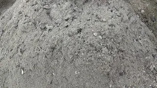                                                                       دندنها