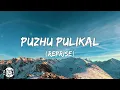 Puzhu Pulikal (Reprise Editon) Lyrics - Kammattipaadam • akkaanum maamalayonnum