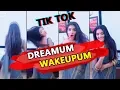 Download Lagu Dreamum Wakeupum Aiyyaa Tik Tok Popular