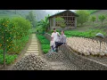 Download Lagu Independent Farm Life | Building Natural Stone Walls \u0026 Raising Ducks Off-Grid