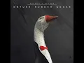 Obtuse Rubber Goose