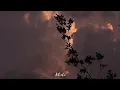 Sherine - Kedah ... شيرين عبد الوهاب - كده (lyric)