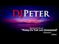 Download Lagu Stevie B - Waiting For Your Love (DJPeter Instrumental)