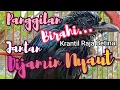 Suara Panggilan Birahi Burung Srigunting Krantil Batu Raja Betina