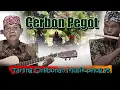 Download Lagu Tarling Cirebonan Musik pelog 45
