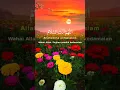 Download Lagu ALLAHUMA ANTASSALAM #shorts #perbanyakbersholawat