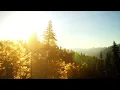 Download Lagu Classical music - The Forest Grand -Trevor Kowalski ,  Beautiful piano music, Clam Relax