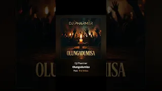 dj pharmer feat the voices olungadumisa extended version 