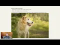 Lagu FDSA Webinar Amy Johnson The Building Blocks of Dog Photography: Master Light, Exposure, and Composi