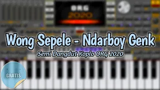 Download SET Wong Sepele - Ndarboy Genk [ Non Vocal ] ORG 2020 VIP Sofeh Sunrise SET GRATIS MP3